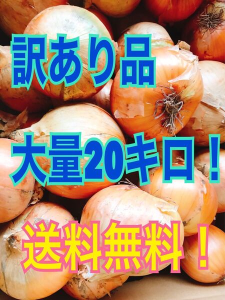お値下げ中!農家直送、北海道産訳あり玉ねぎ大量20キロ送料込!