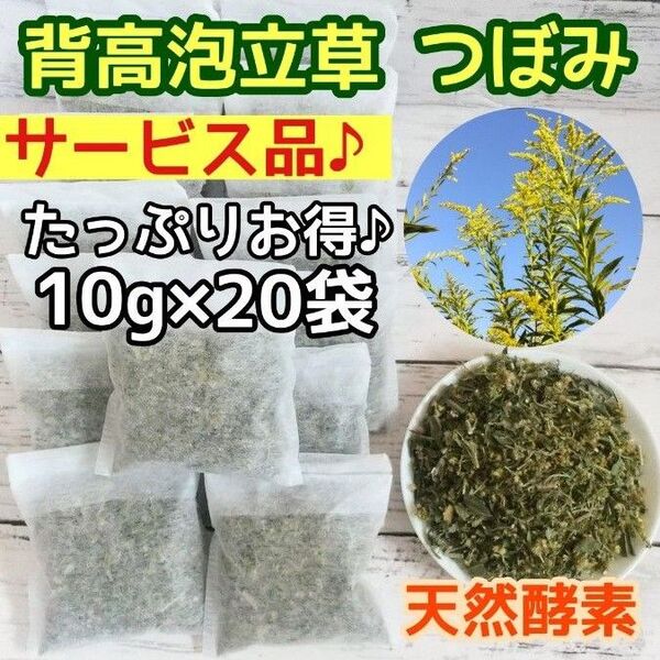 サービス品♪ 乾燥セイタカアワダチソウ 10g×20個 ○増量OK 自然療法
