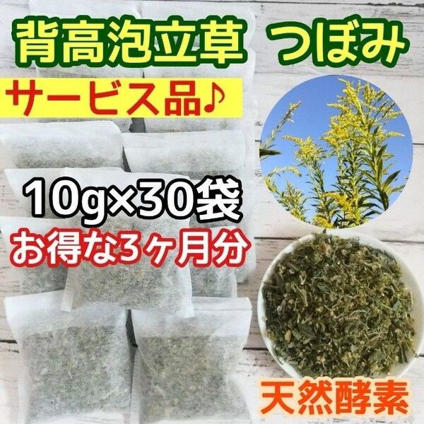 サービス品♪ 乾燥セイタカアワダチソウ 10g×30個 ○増量OK 自然療法