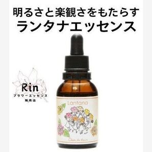 ランタナフラワーエッセンス フラワーエッセンスのシャンドゥルール