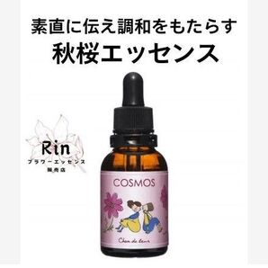 コスモス 秋桜フラワーエッセンスのシャンドゥルール