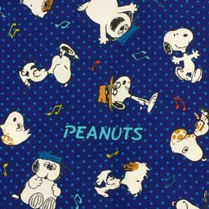 オックス生地 SNOOPY 30センチ