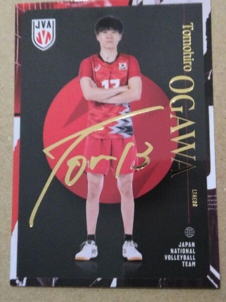 バレーボール男子日本代表2024トレーディングカード 小川智大選手
