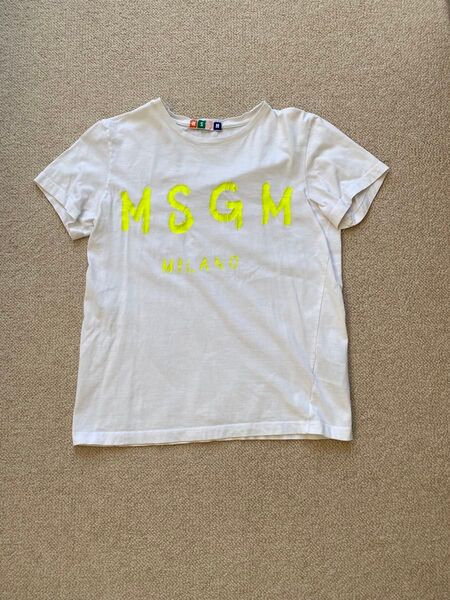 MSGM Tシャツ 小嶋陽菜