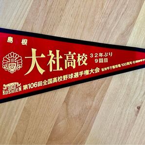 高校野球 島根県大社高校