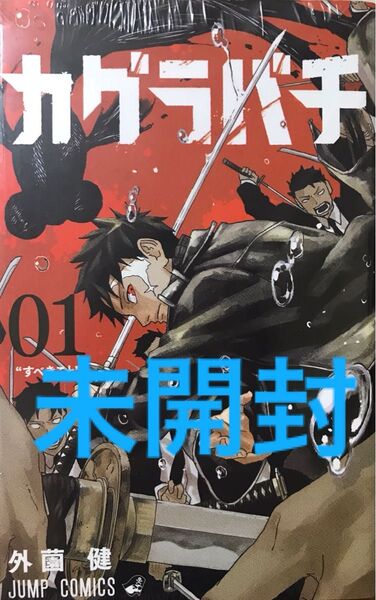 《未開封》カグラバチ1