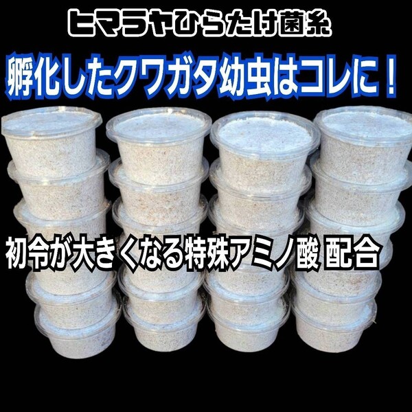 特選!最強の菌糸プリンカップ120ml【10個セット】初令、2令幼虫専用栄養添加剤配合! オオクワガタ、ニジイロ、ヒラタ、ノコギリに抜群!