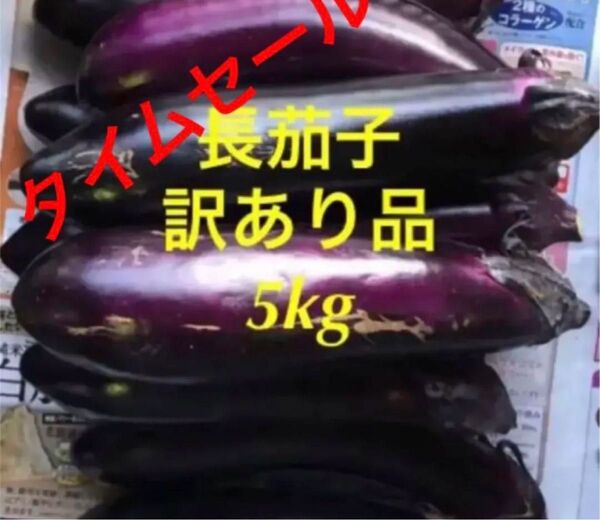 朝どり 農家直送!茄子 訳あり 箱込み5kg