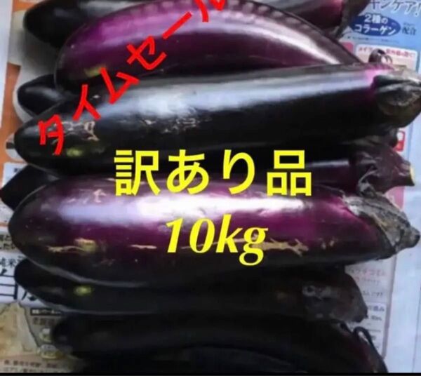 朝どり 農家直送!茄子 訳あり 箱込み10kg