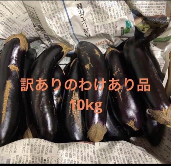 朝どり 農家直送!茄子 訳ありのわけあり品 箱込み10kg