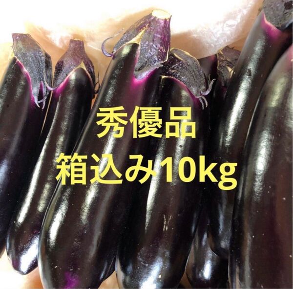 朝どり 農家直送!茄子 秀優品 箱込み10kg