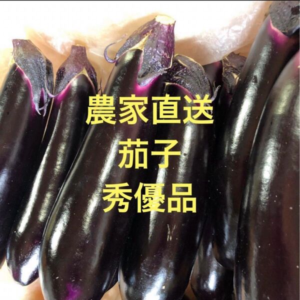 朝どり 農家直送!茄子 秀優品 箱込み5kg