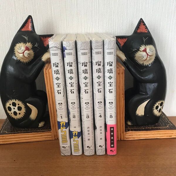 透明カバー付き 既刊全巻セット 瑠璃の宝石