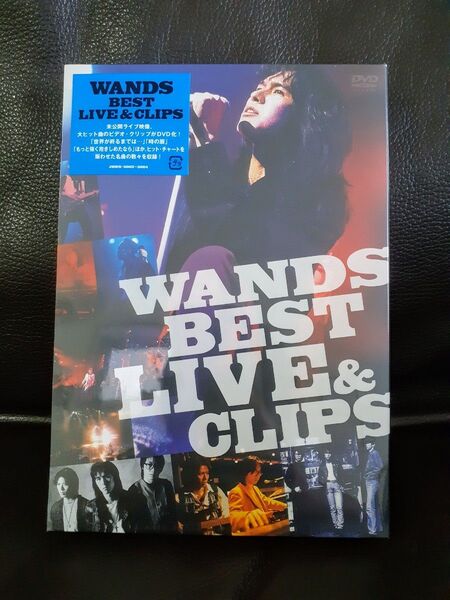 WANDS BEST LIVE & CLIPS DVD 未開封