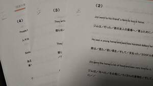 中学英語長文読解プリント　某進学塾の内部生向けオリジナル英語教材「ねこ直」の長文練習編のバラ売り　A４版20数枚　