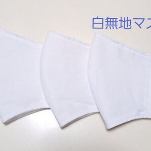 白 立体インナー マスク 立体マスク 子供 キッズ ハンドメイド シンプル