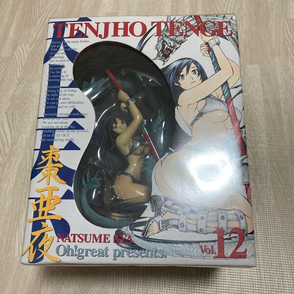 天上天下 棗亜夜 特装版 vol.12 12巻