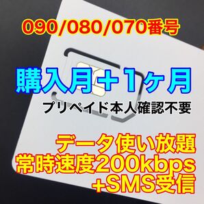 プリペイドSIMカード データ通信200kbps/月 データ通信専用 SMS受信可能
