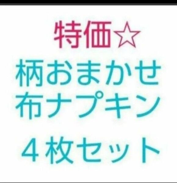 柄おまかせ 布ナプキン 4枚セット (布ライナー)