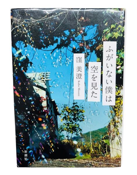 ふがいない僕は空を見た 窪美澄/〔著〕