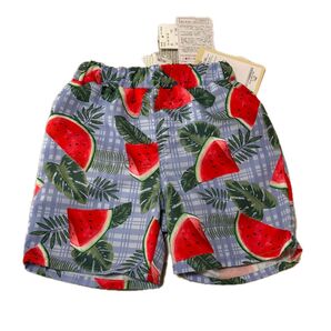 男の子 スイムショーツ キッズ 海パン ハーフパンツ ブルー すいか