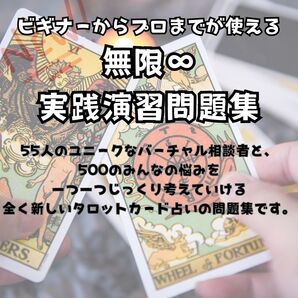 占いをされる全ての方に!無限占い実践演習問題集55人のモデルと500の悩み事