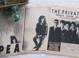 レア? ◆36年前◇レトロ◆ THE PRIVATES/ザ・プライベーツ/延原達治/田村直美/PEARL/パール/SHO-TA*ステキな切り抜き♪