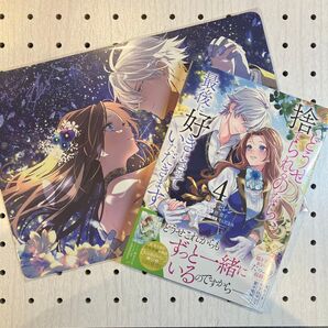 どうせ捨てられるのなら、最後に好きにさせていただきます 4 (ZERO-SUMコミックス) 碧貴子