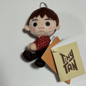BTS TinyTAN くっつきぬいぐるみみに ジン dynamite