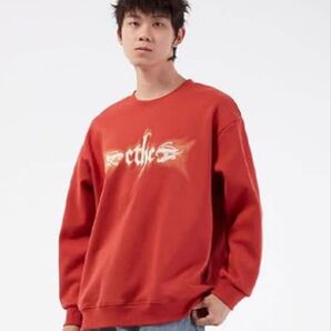 トレーナー メンズ 秋 冬服 地雷系 プリント プルオーバー 裏起毛 人気