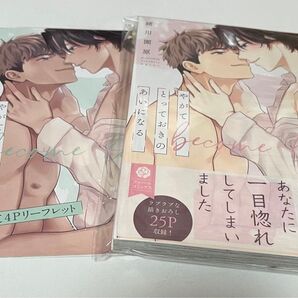ブックカバー帯付き アニメイト限定リーフレット付き やがてとっておきのあいになる/緒川園原