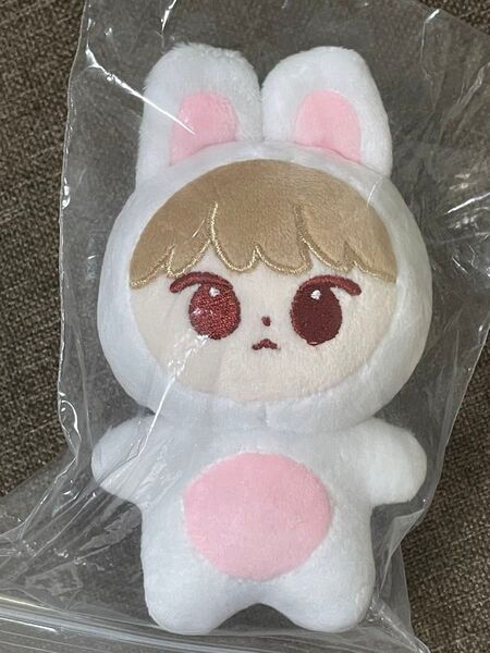 【新品未開封】NCT ドヨン ぬいぐるみ 10cm kim doderi IDカード&IDフォト付