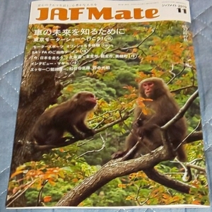 2019年 11月号★JAF Mate ジャフメイト★モデル マギー 松任谷正隆 岩合光昭★雑誌 会報誌