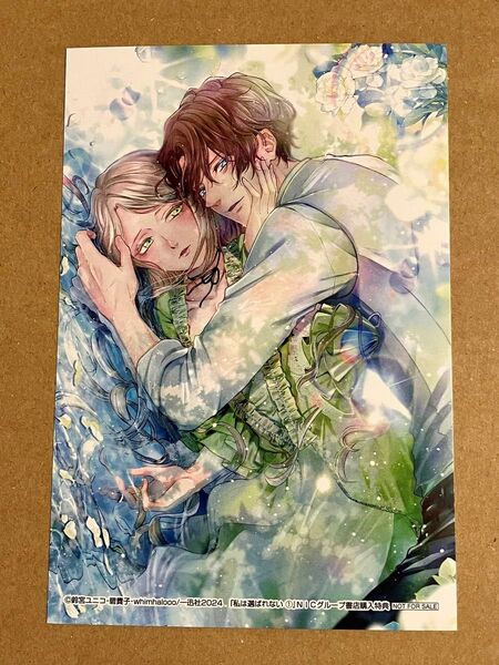 NICグループ書店特典カラーイラストカードのみ 私は選ばれない 1巻