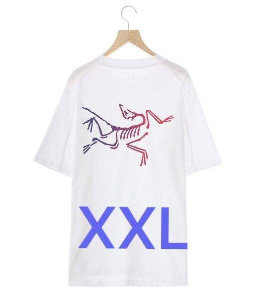 ARC’TERYX Kragg Cotton Logo SS M アークテリクス tシャツ tee XXL クラッグ