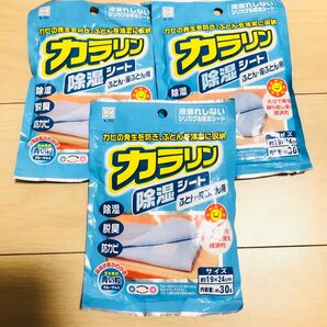 未使用 カラリン 除湿シート ふとん 座布団用