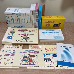 家庭保育園 バイリンガルファミリー一式 欠品なし