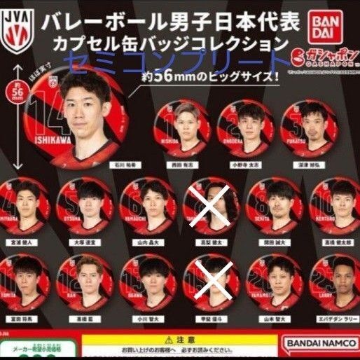 バレーボール男子日本代表☆缶バッジ☆ガチャ☆セミコンプリート14種類セット