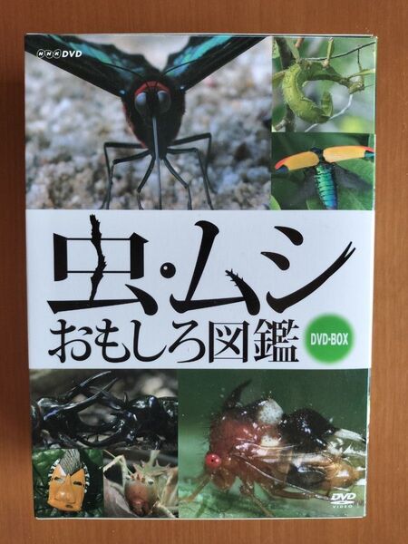 虫・ムシおもしろ図鑑&こんちゅうスペシャル50 DVD