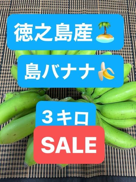 徳之島産 島バナナ 農薬不使用 自然栽培 国産
