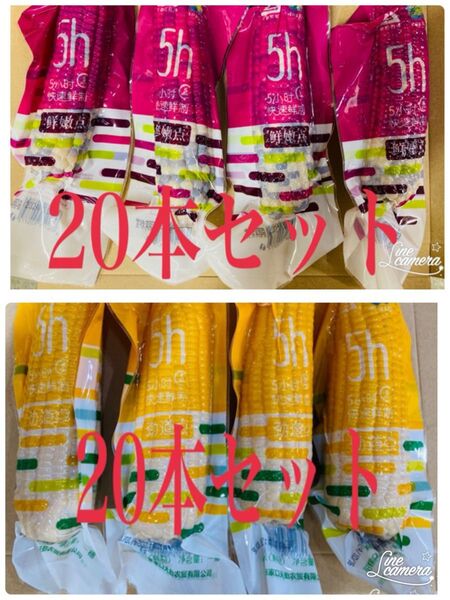 糯玉米棒 モチとうもろこし 軸付き糯玉米 40本セット