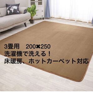 新品 3畳タイプ 防ダニ仕様 洗える フランネルラグ モカ
