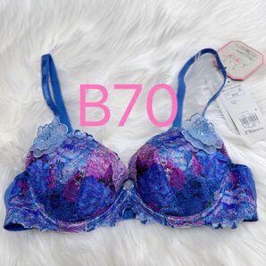 トリンプ プレミアム レッドレーベル 0088 ブラジャー B70 ブルー