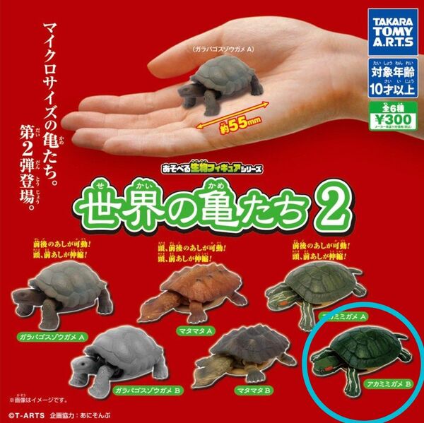 あそべる生物フィギュアシリーズ 世界の亀たち2 アカミミガメB ガチャ