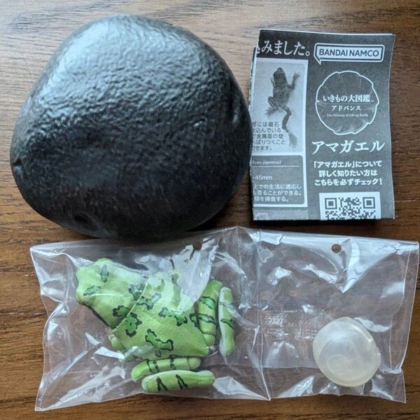 いきもの大図鑑アドバンス アマガエル アマガエル(緑まだら模様) ガチャ