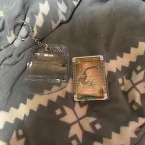 最終値下げムシキングミニチュアカードアクリル