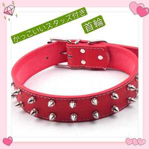 かっこいい 中型犬 大型犬用 スタッズ 首輪 ペット用 犬用 赤