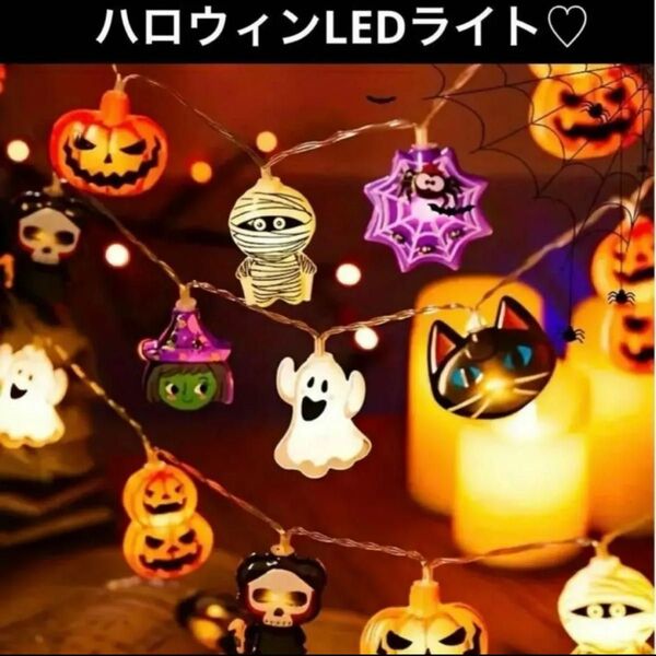 ハロウィン 魔女 カボチャ ミイラ クモの巣 LED 黒猫 クロネコ かぼちゃ おばけ 魔女 可愛い パーティ