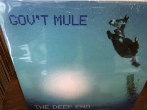 GOV'T MULE THE DEEP END LP ultra rare allman Brothers band * side Project!