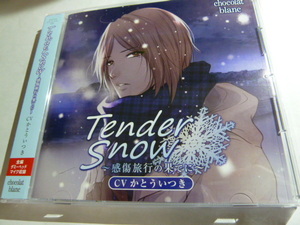 Tender Snow ～感傷旅行の果てに～ かとういつき 